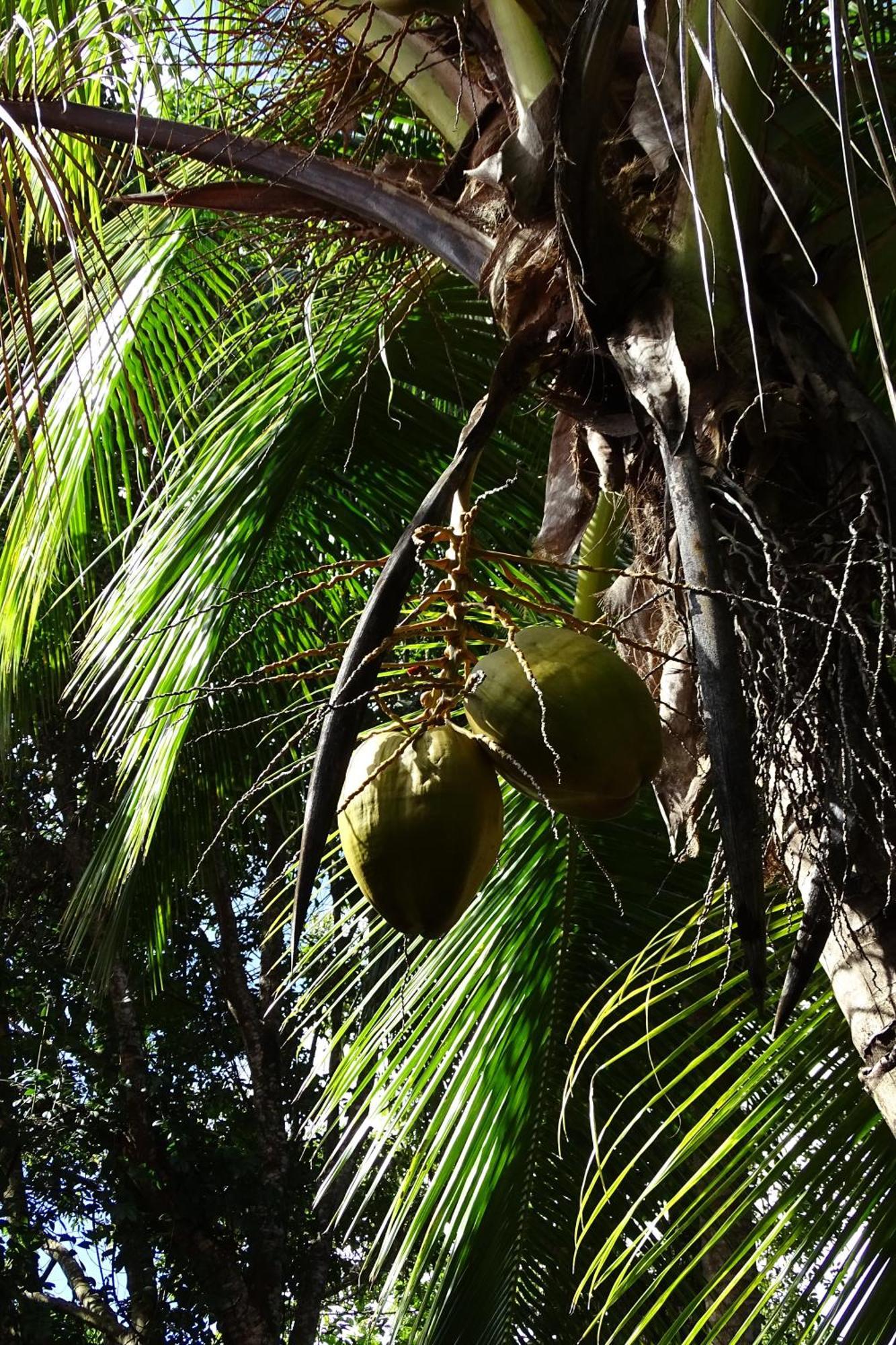 Cozy T2 Calme Au Coeur De La Nature La Trinité Dış mekan fotoğraf